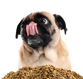 Image of Cute dog and heap of dry pet food on white background