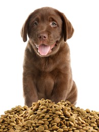 Image of Cute puppy and heap of dry pet food on white background