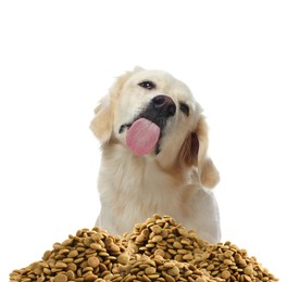 Image of Cute dog and heap of dry pet food on white background