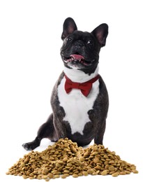 Image of Cute dog sitting near heap of dry pet food on white background