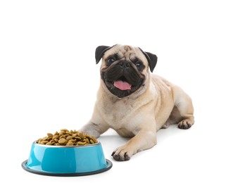 Image of Cute dog lying near and bowl of dry pet food on white background