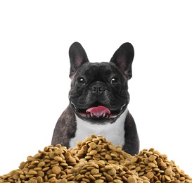 Image of Cute dog and heap of dry pet food on white background