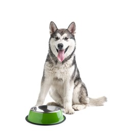 Image of Cute dog waiting for pet food near empty bowl on white background