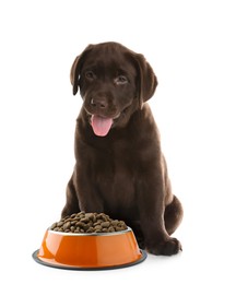 Image of Cute puppy sitting near bowl of dry pet food on white background