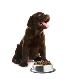 Image of Cute puppy sitting near bowl of dry pet food on white background