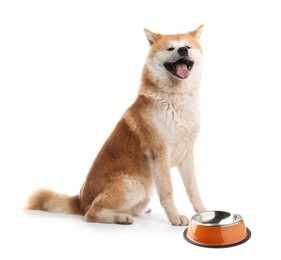 Image of Cute dog waiting for pet food near empty bowl on white background