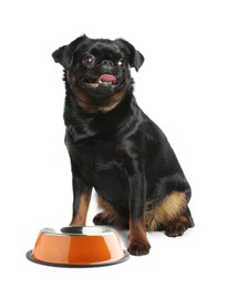 Image of Cute dog waiting for pet food near empty bowl on white background