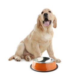 Image of Cute dog waiting for pet food near empty bowl on white background