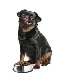 Image of Cute dog sitting near bowl of dry pet food on white background