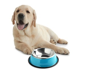 Image of Cute dog waiting for pet food near empty bowl on white background