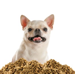 Image of Cute dog and heap of dry pet food on white background