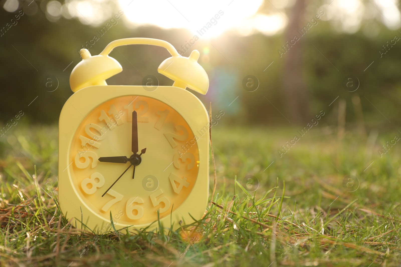 Photo of Yellow alarm clock on green grass outdoors. Space for text