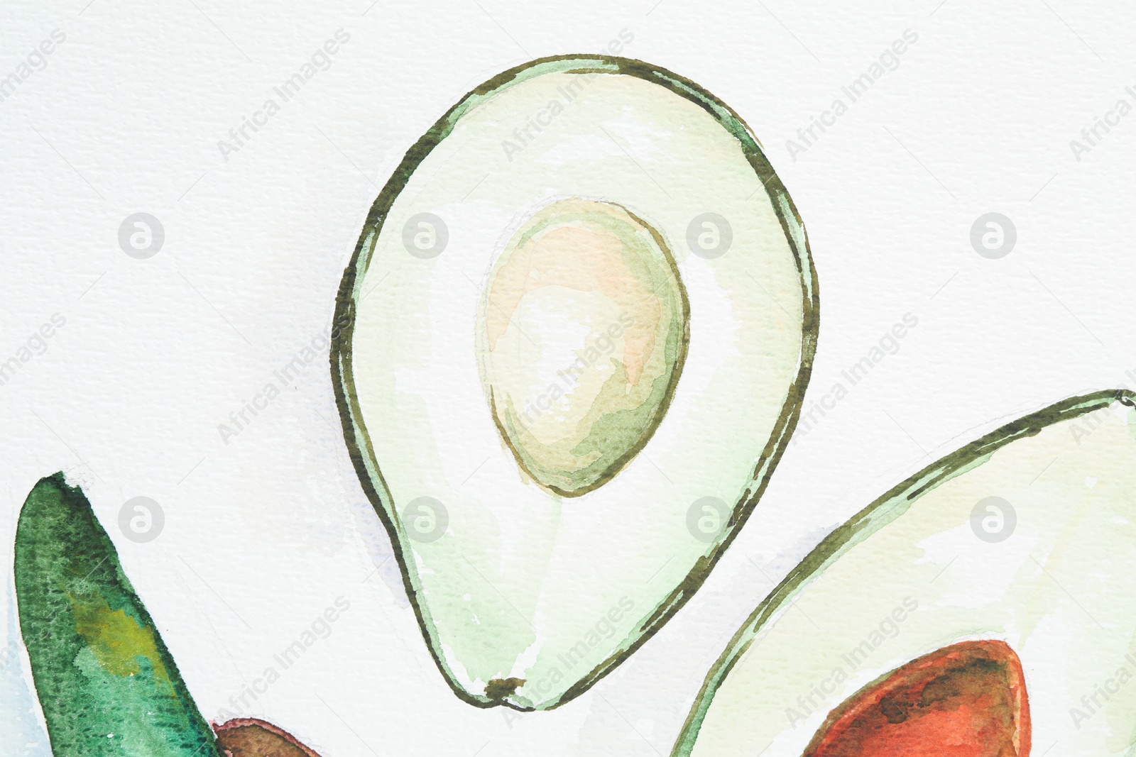 Photo of Watercolor painting of avocados on white paper, top view