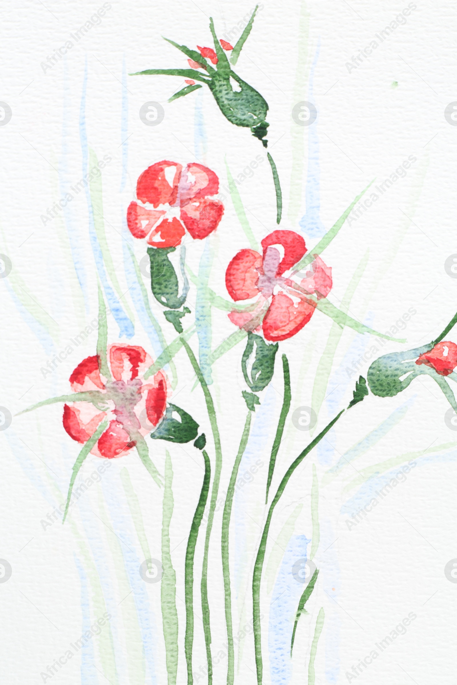 Photo of Watercolor painting of beautiful flowers on white paper, top view