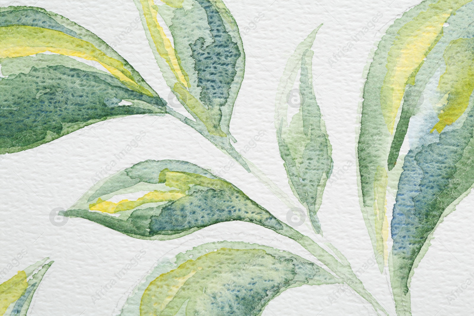 Photo of Watercolor painting of green leaves on white paper, top view