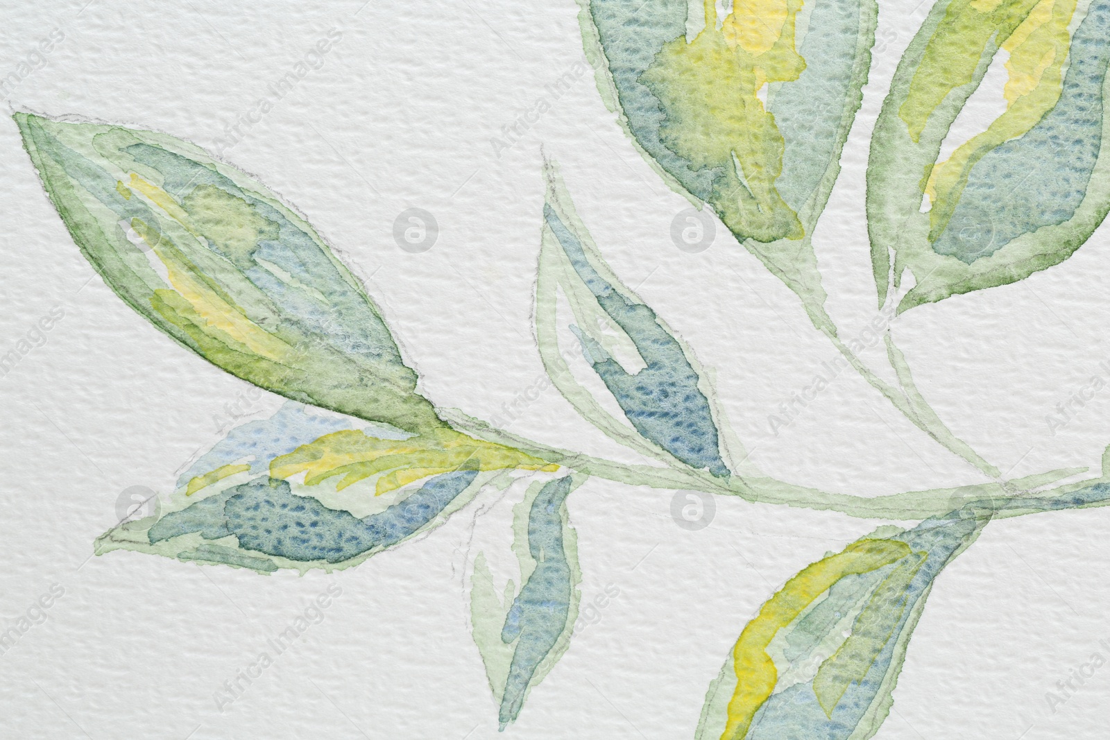 Photo of Watercolor painting of green leaves on white paper, top view