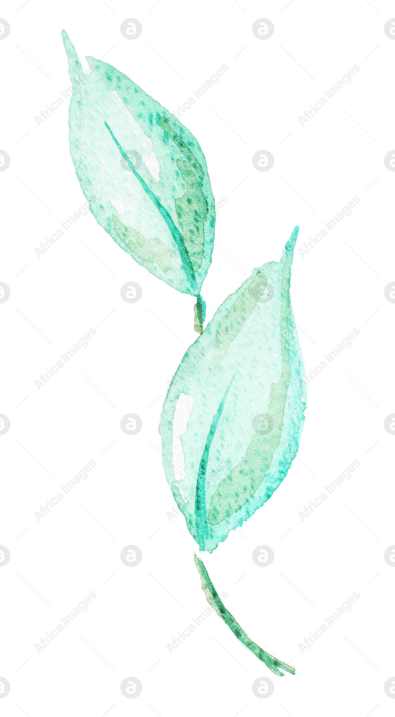 Photo of Watercolor painting of green leaves isolated on white