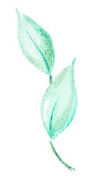 Photo of Watercolor painting of green leaves isolated on white