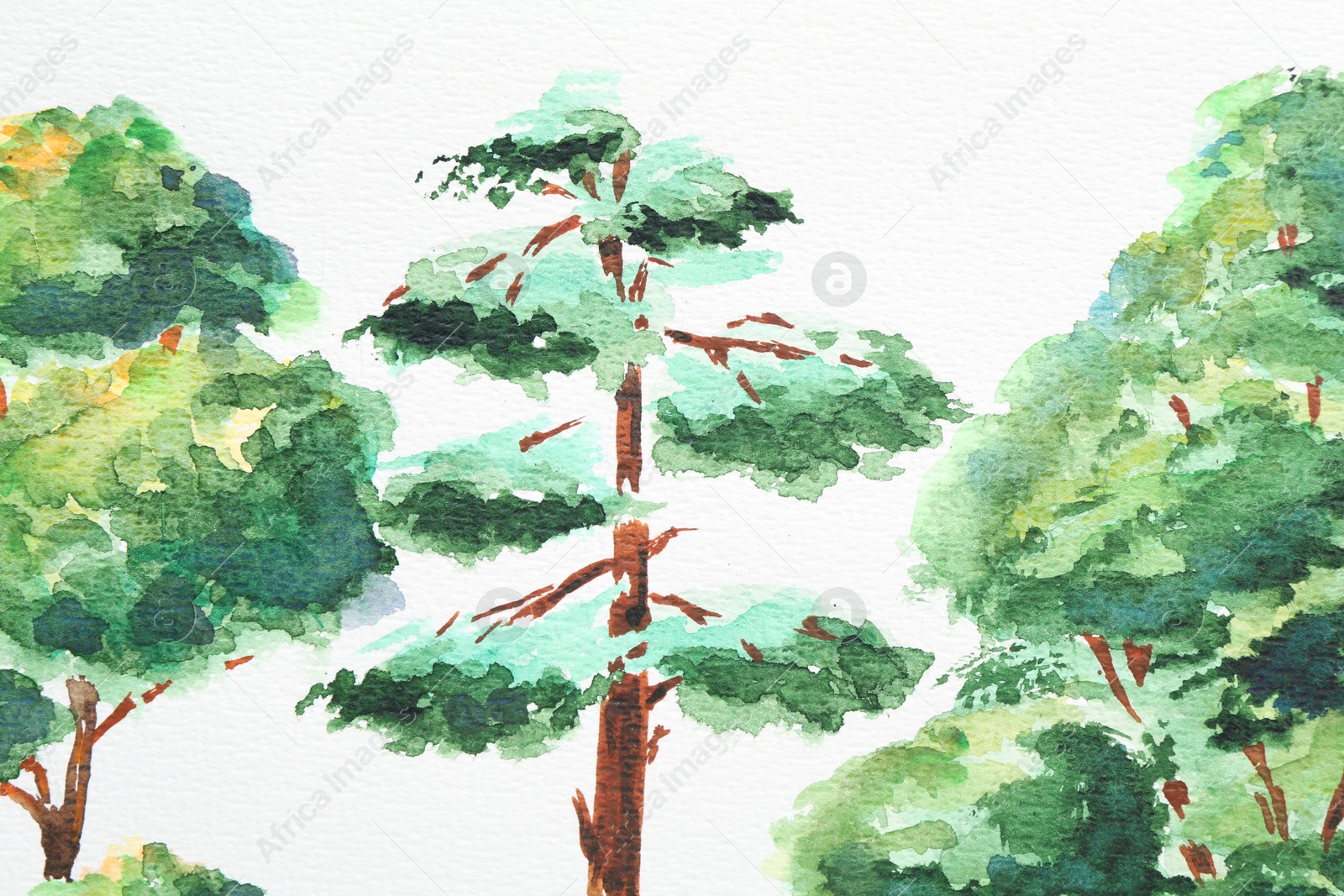 Photo of Watercolor painting of different green trees on white paper, above view