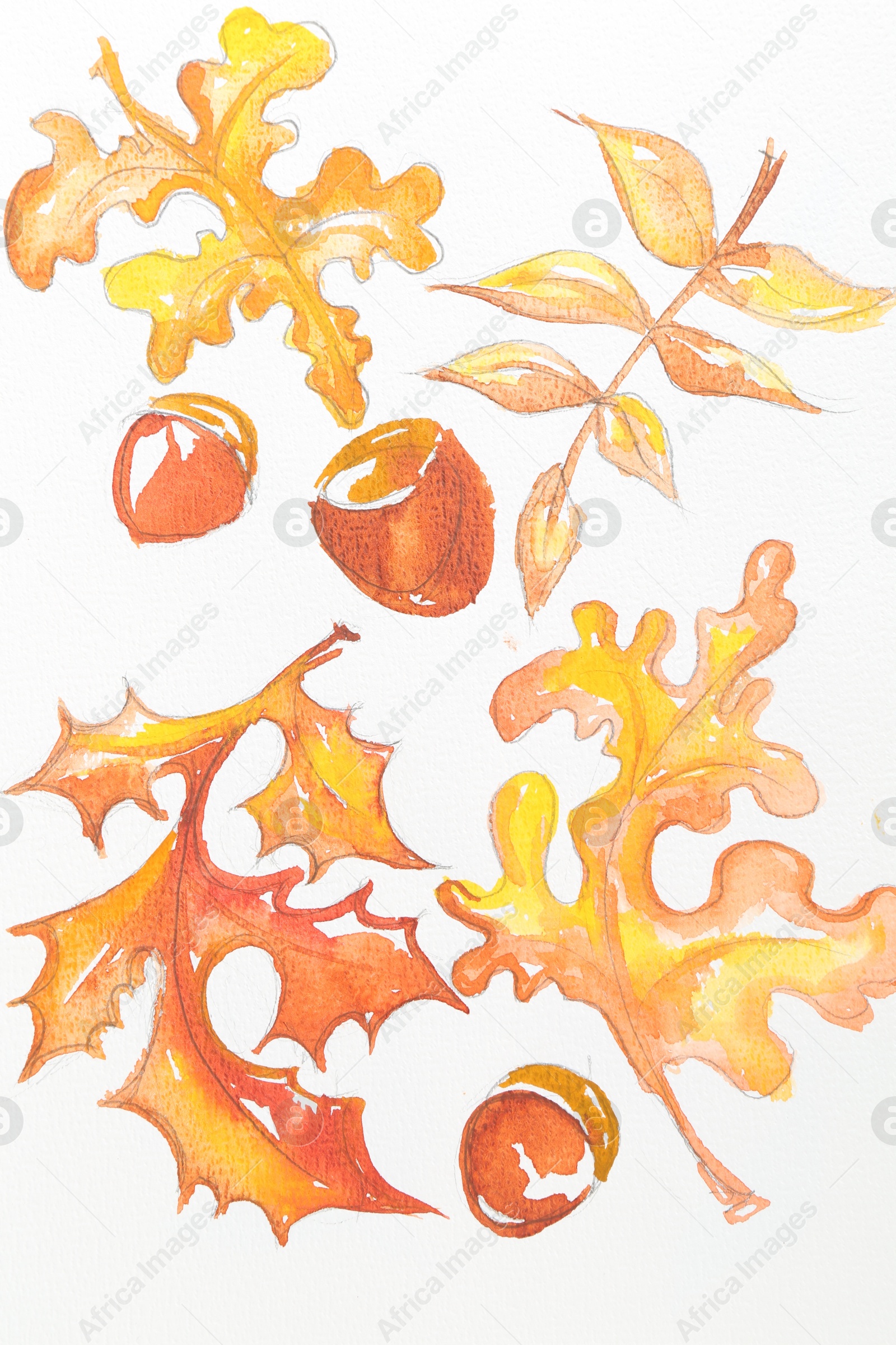 Photo of Watercolor painting of autumn leaves and acorns on white paper, top view