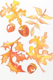 Photo of Watercolor painting of autumn leaves and acorns on white paper, top view