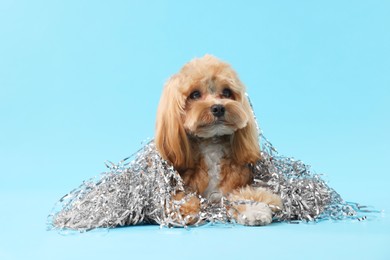 Photo of Cute dog with pile of shiny tinsels on light blue background