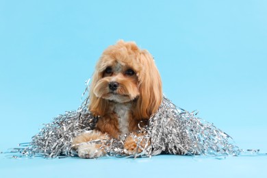 Photo of Cute dog with pile of shiny tinsels on light blue background