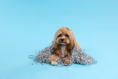 Photo of Cute dog with pile of shiny tinsels on light blue background