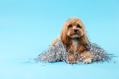 Photo of Cute dog with pile of shiny tinsels on light blue background. Space for text