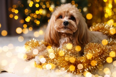 Photo of Cute dog with shiny tinsels on floor against blurred lights