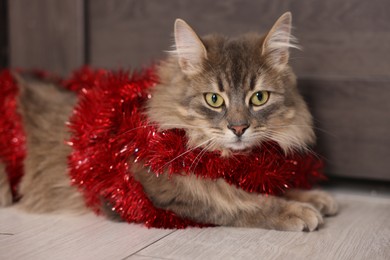 Photo of Cute cat with red Christmas tinsel on floor, closeup