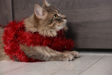 Photo of Cute cat with red Christmas tinsel on floor, space for text