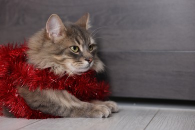 Photo of Cute cat with red Christmas tinsel on floor, space for text