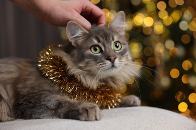 Photo of Woman petting cute cat with bright tinsel against blurred lights, closeup. Christmas atmosphere