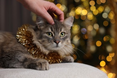 Photo of Woman petting cute cat with bright tinsel against blurred lights, closeup. Christmas atmosphere