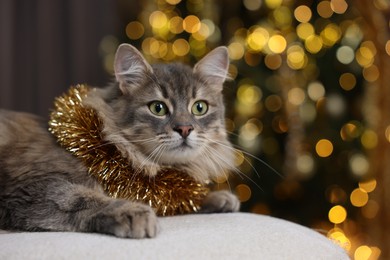 Photo of Cute cat with shiny tinsel on pouf against blurred lights. Christmas atmosphere