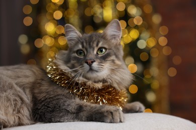 Photo of Cute cat with shiny tinsel on pouf against blurred lights. Christmas atmosphere