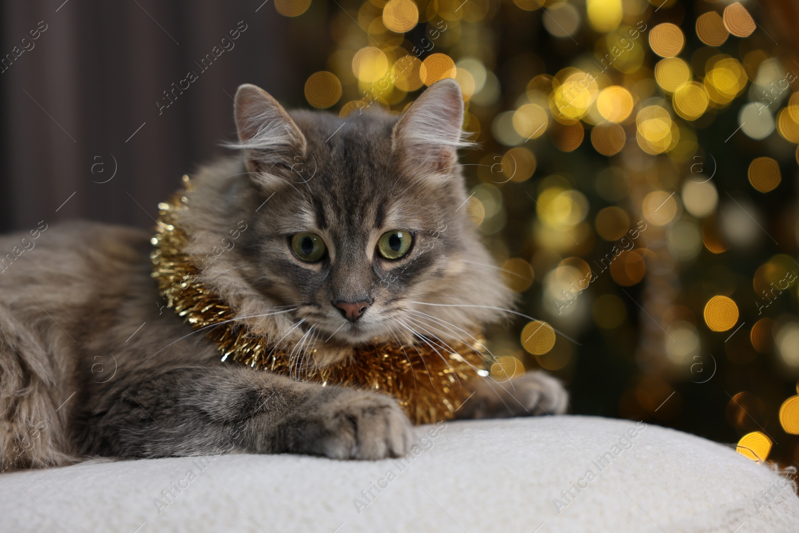 Photo of Cute cat with shiny tinsel on pouf against blurred lights. Christmas atmosphere