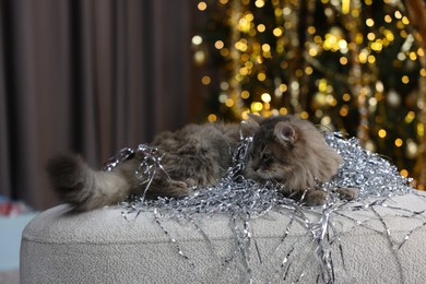 Photo of Cute cat with shiny Christmas tinsel on pouf indoors