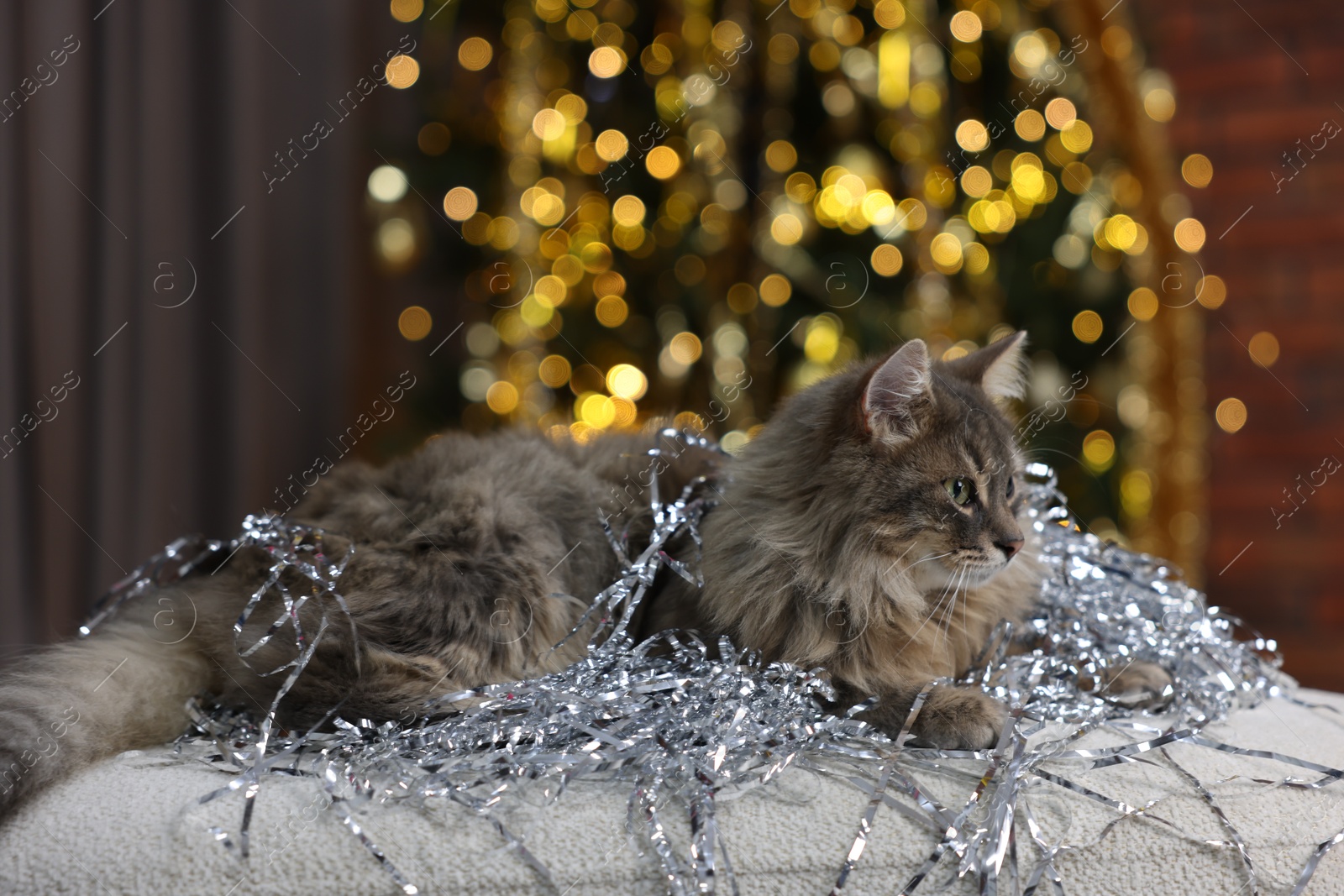 Photo of Cute cat with shiny tinsel on pouf against blurred lights. Christmas atmosphere