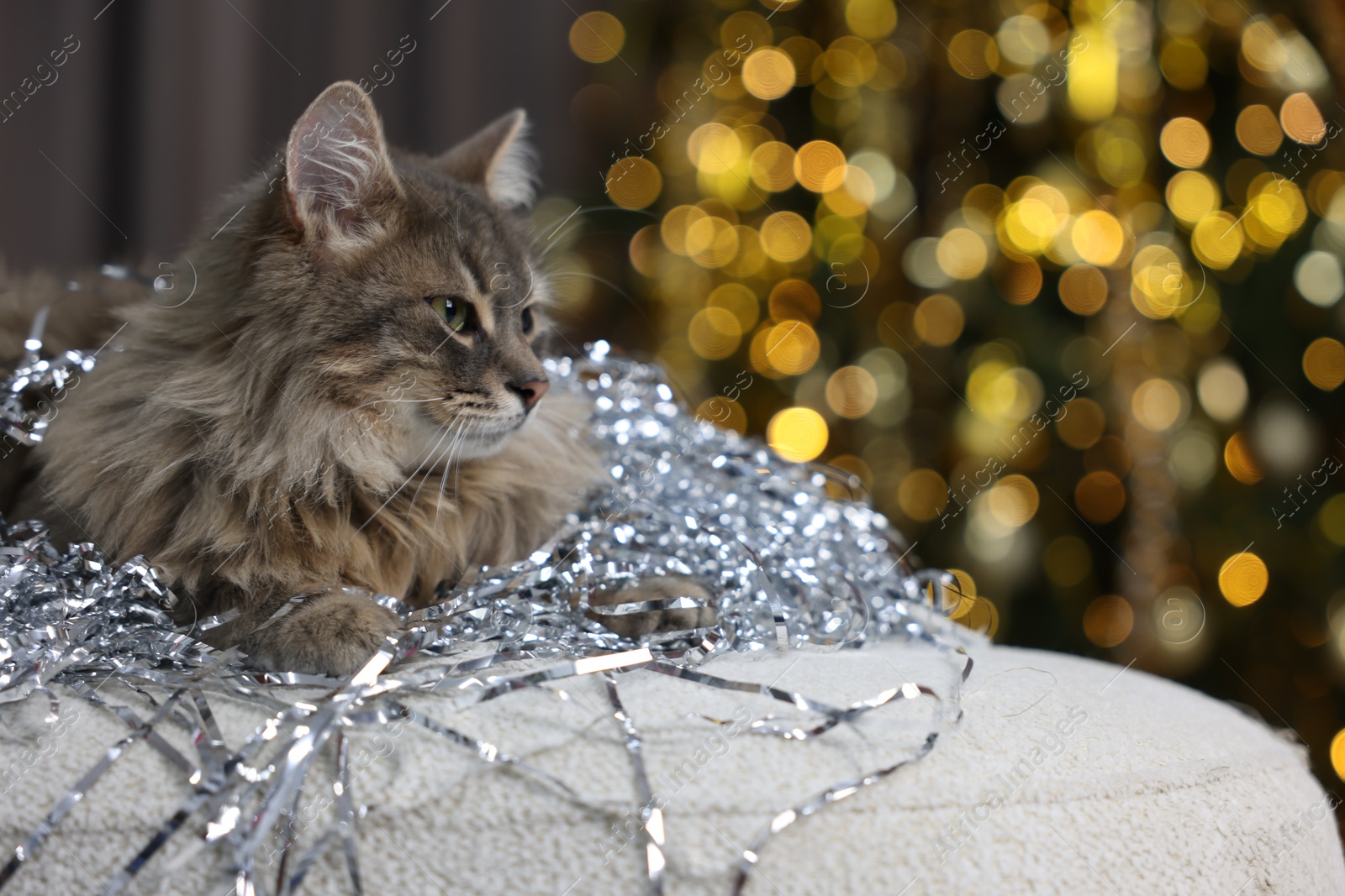 Photo of Cute cat with shiny tinsel on pouf against blurred lights, space for text. Christmas atmosphere