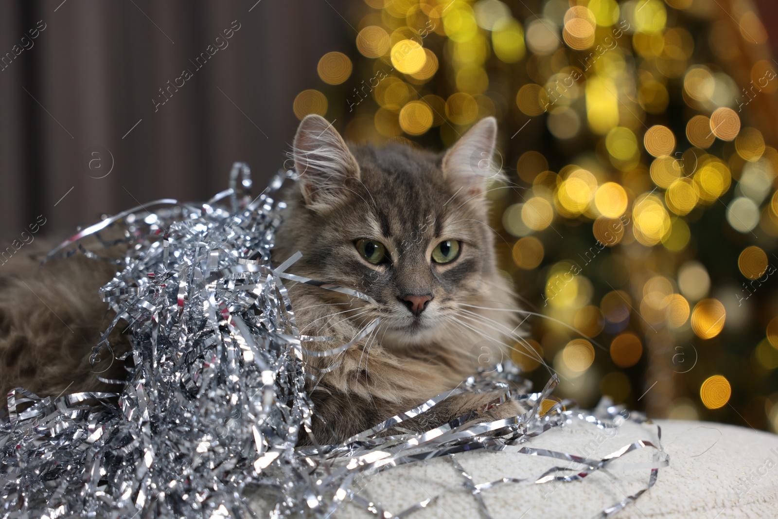 Photo of Cute cat with shiny tinsel on pouf against blurred lights. Christmas atmosphere