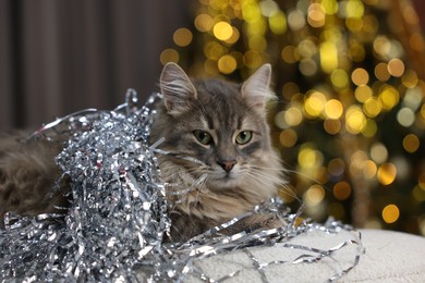 Photo of Cute cat with shiny tinsel on pouf against blurred lights. Christmas atmosphere