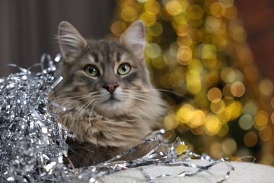 Photo of Cute cat with shiny tinsel on pouf against blurred lights, space for text. Christmas atmosphere