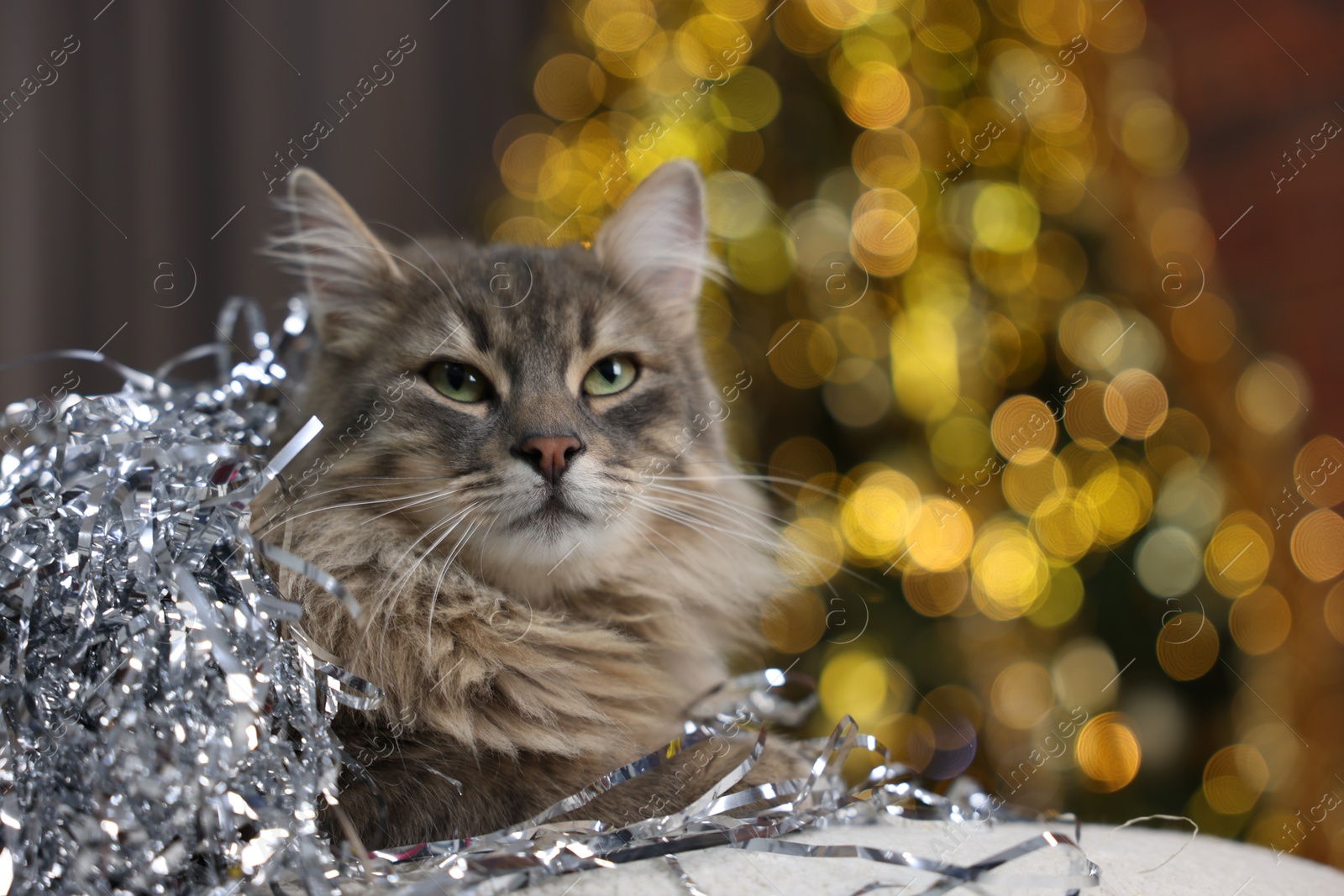 Photo of Cute cat with shiny tinsel on pouf against blurred lights, space for text. Christmas atmosphere