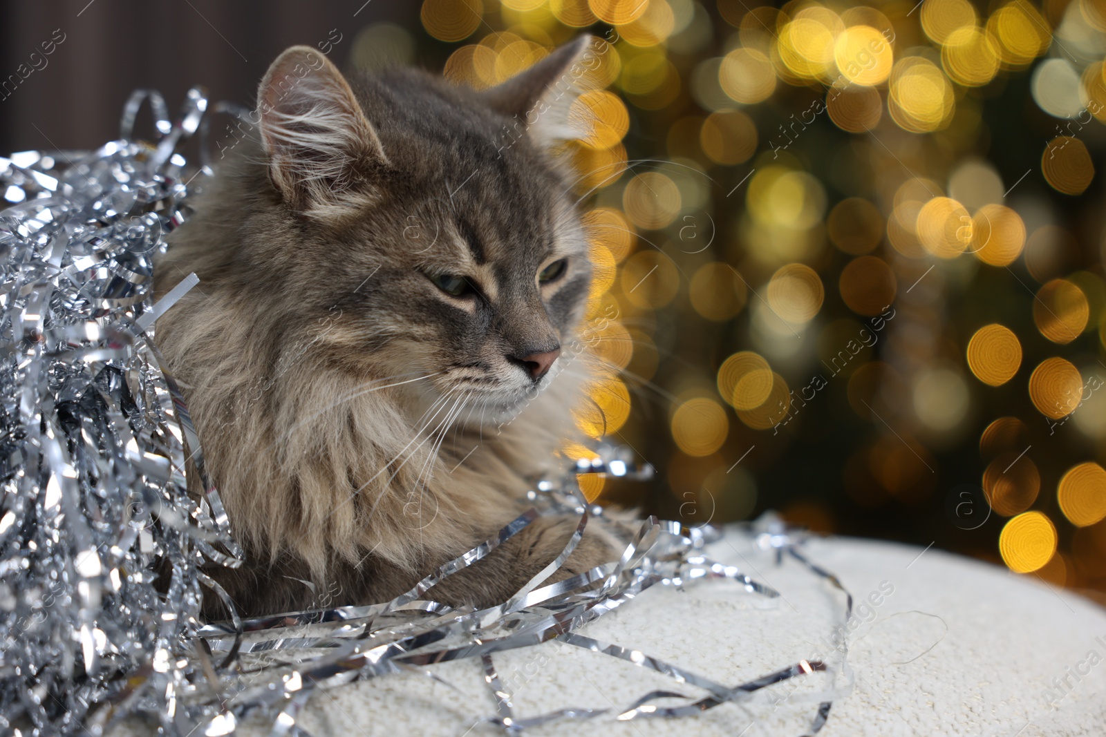 Photo of Cute cat with bright Christmas tinsel on pouf against blurred lights, closeup. Space for text