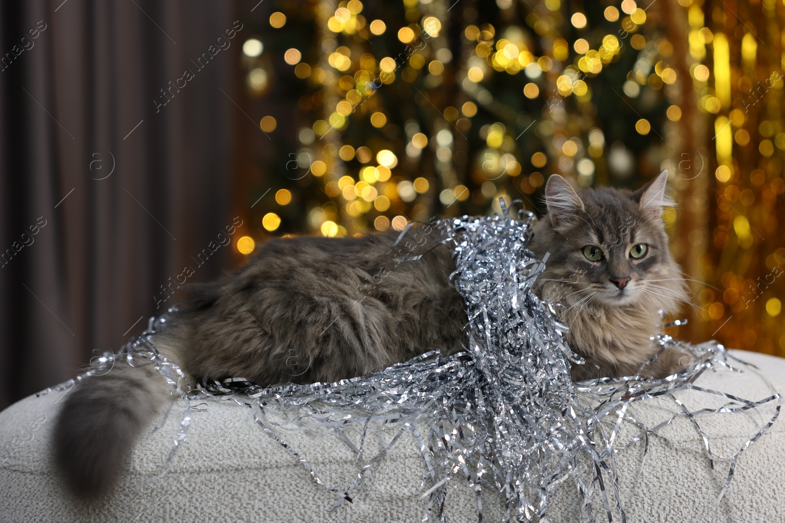 Photo of Cute cat with shiny tinsel on pouf against blurred lights. Christmas atmosphere