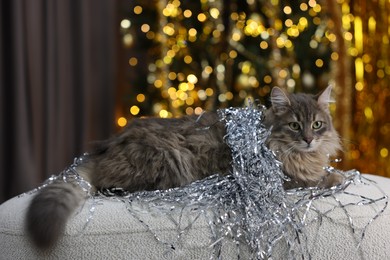 Photo of Cute cat with shiny tinsel on pouf against blurred lights. Christmas atmosphere