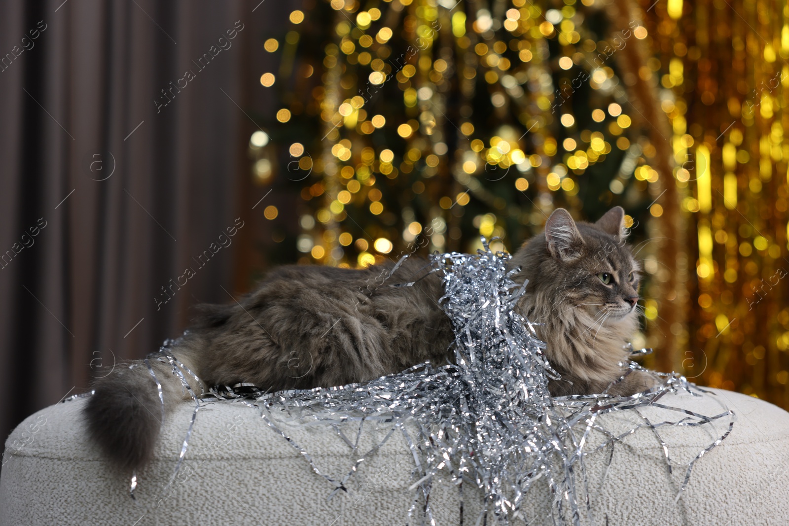 Photo of Cute cat with shiny tinsel on pouf against blurred lights. Christmas atmosphere