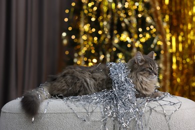 Photo of Cute cat with shiny tinsel on pouf against blurred lights. Christmas atmosphere